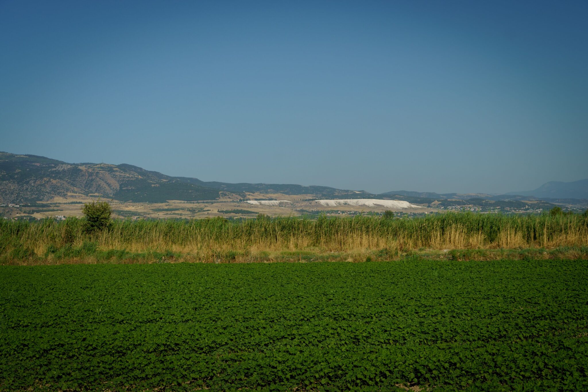 Sokkal nagyobb, mint gondoltam!